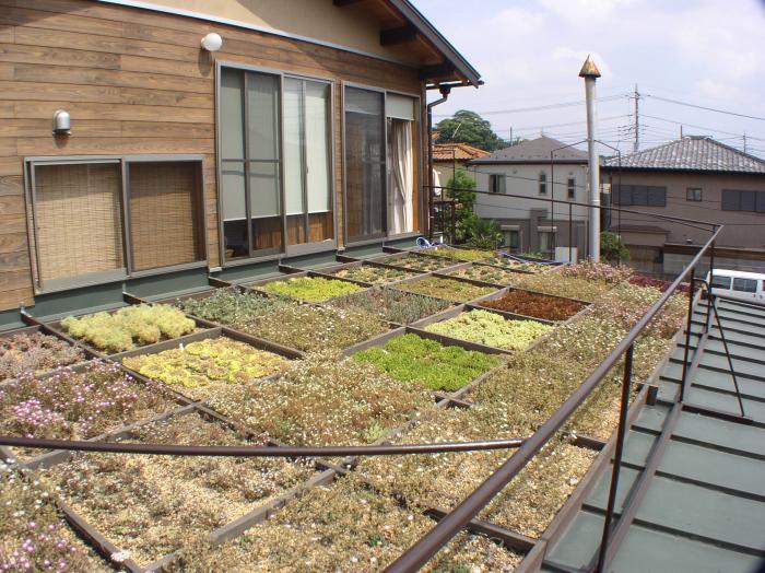 夏場の屋根が熱くなりにくい草屋根 レインファーム一級建築士事務所 伊藤 有吉子さん 建築家紹介センター